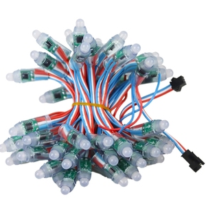 1 Packung 12mm WS2811 2811 IC Voll farbige RGB-LED-Pixel Modul Lichterkette IP68 wasserdicht 5V 12V Feiertage Weihnachts dekoration - Product Image 1