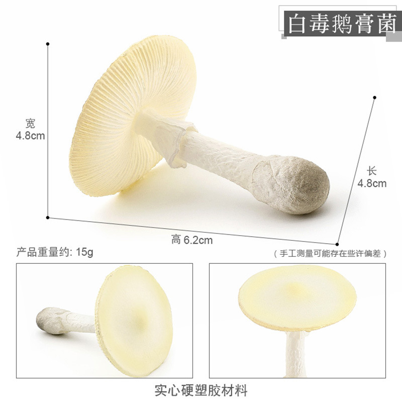 PL127-2135 veneno blanco Amanita 15g