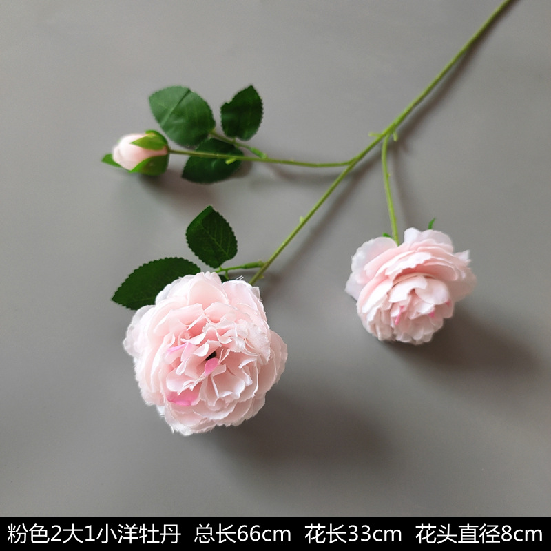 2 peonías extranjeras grandes y 1 pequeña