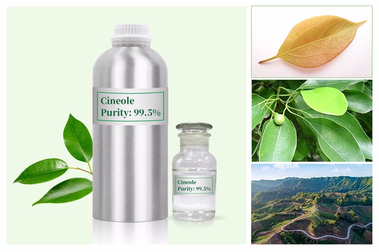 Huile essentielle d'eucalyptus biologique naturelle pure à 100 % pour revitaliser la peau 0