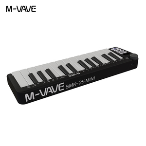 Контроллер клавиатуры MIDI, простой процесс настройки, 25 клавиш mini MIDI, чувствительные к скорости