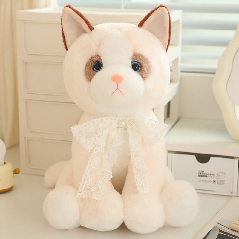 Chat Ragdoll