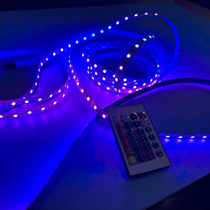 CL aydınlatma toptan 12V Set özel su geçirmez RGB LED şerit ışık zinciri oturma odası için akıllı ev aydınlatma - Product Image 2