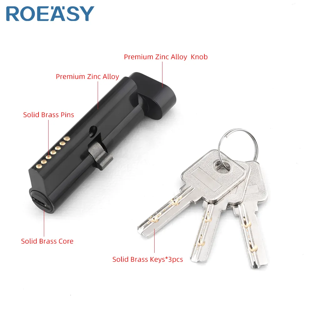 Roeasy OEM precio competitivo cuerpo de la cerradura de mortaja China al por mayor cuerpo de la cerradura de la puerta y cilindro de cerradura de mortaja