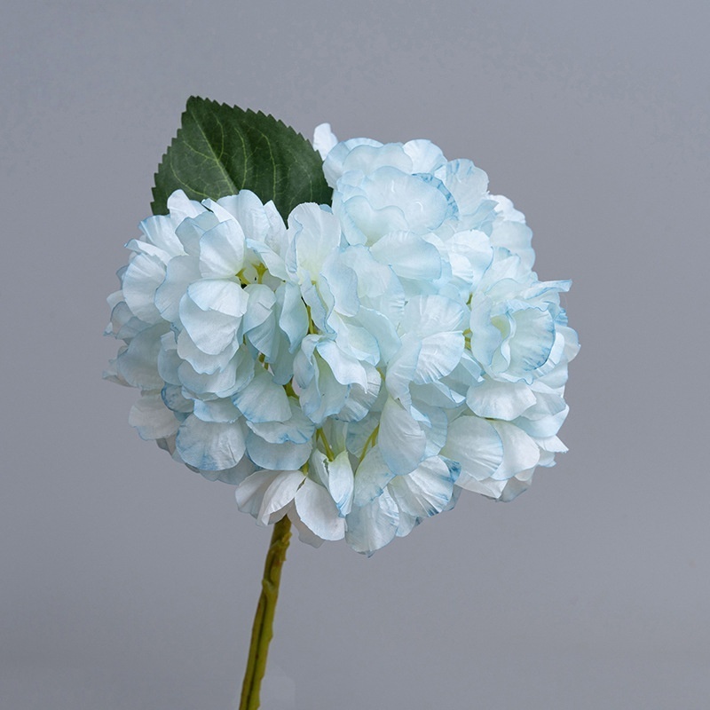 Azzurro di cielo