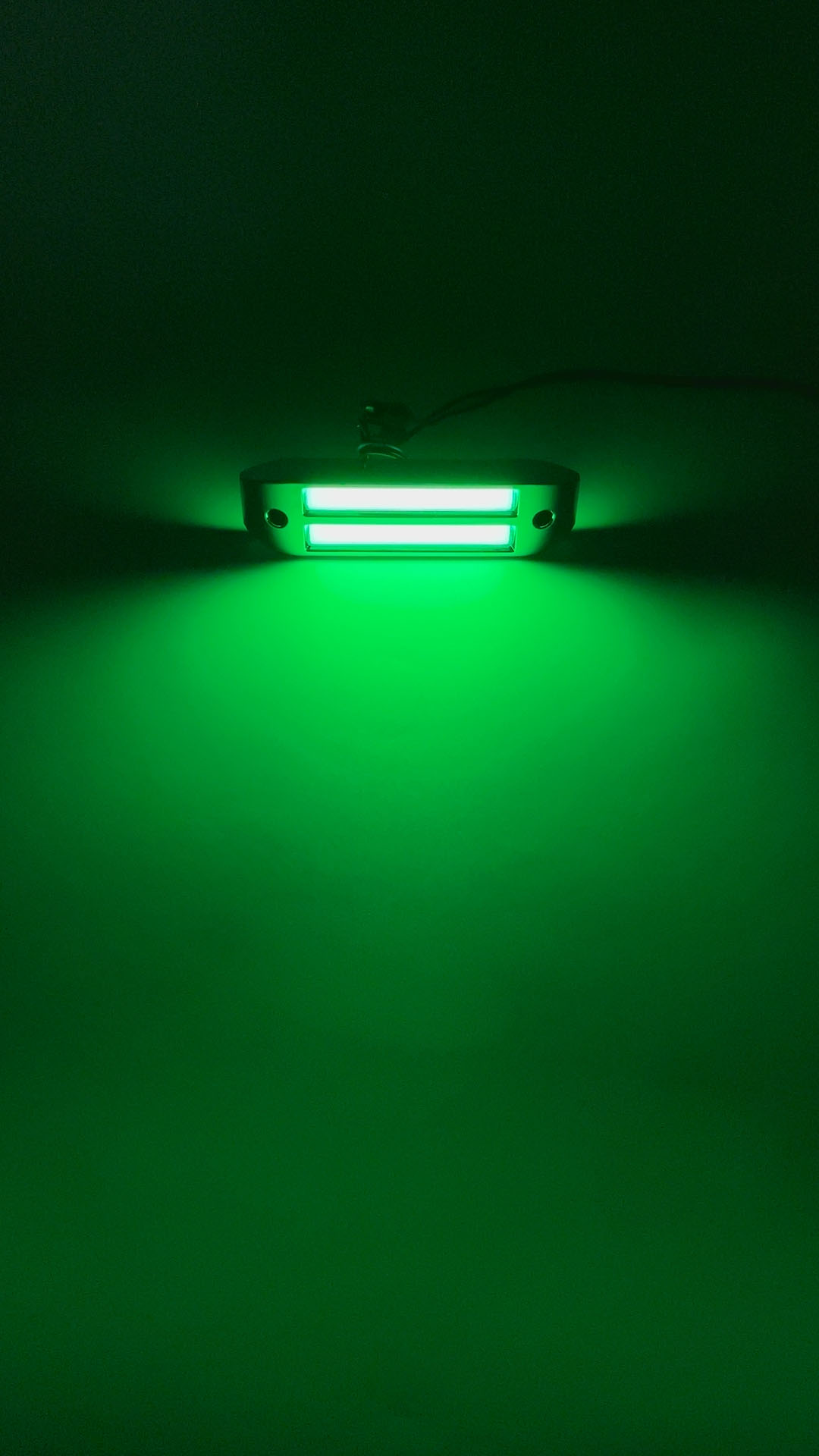 Vert