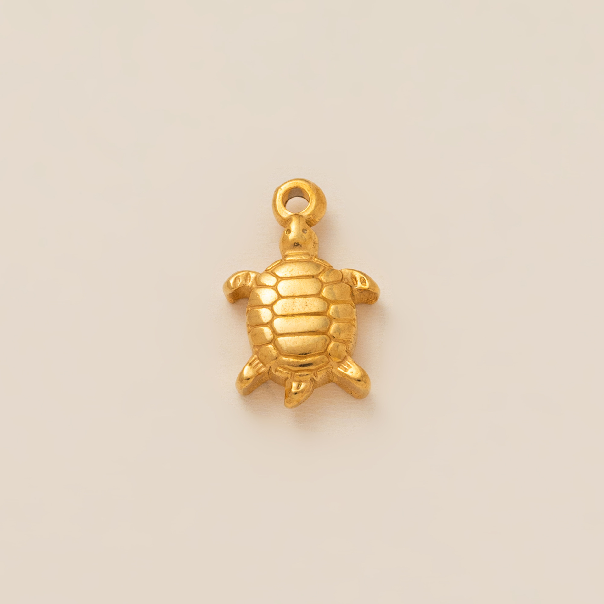 Pendentif tortue