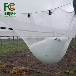 Durable Yemen Anti Hail Netting Offers <strong>Excellent</strong> Anti Hail <strong>Net</strong> for Reliable Anti Protection for Banana and Pomegranate From Hail