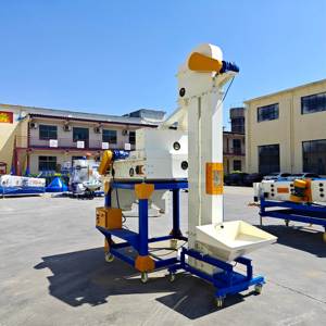 Clods tách từ cho tơ hồng alfalaf Hạt Giống Cỏ hạt giống - Product Image 1