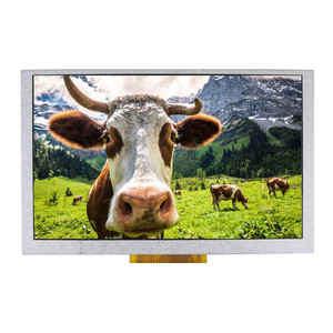 Alto brillo 800*480 Resolución 5 pulgadas IPS TFT LCD Módulo de pantalla táctil personalizable OLED para diversas aplicaciones - Product Image 2