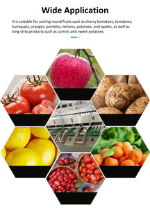 Calibrador de frutas y verduras, máquina clasificadora de tomate, ajo, Chile, pimienta, cebolla, zanahoria, pepino, seta, máquina clasificadora - Product Image 2