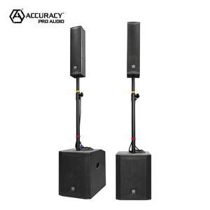Accuracy Pro Audio AC49-MK2 1000W 12인치 우퍼 프로페셔널 오디오 PA 시스템 우든 액티브 어레이 파워드 컬럼 스피커 - Product Image 1