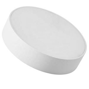 Wholesale Price Home Lighting 24w Ceiling <strong>Light</strong> Intelligence Design Room <strong>LED</strong> Ceiling <strong>Lights</strong> - Product Image 1