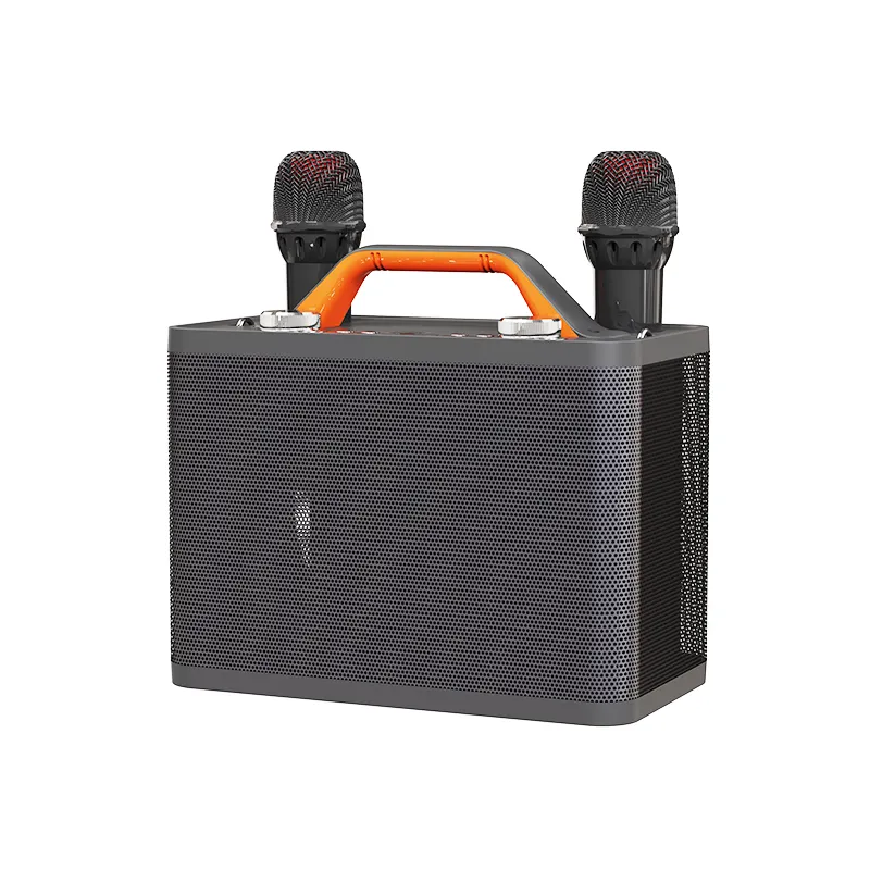 Portable Speaker Factory Wholesales Price Outdoor Party HIFI BT Wireless 5.0 Speaker With 2 Micro Karaoke Speaker