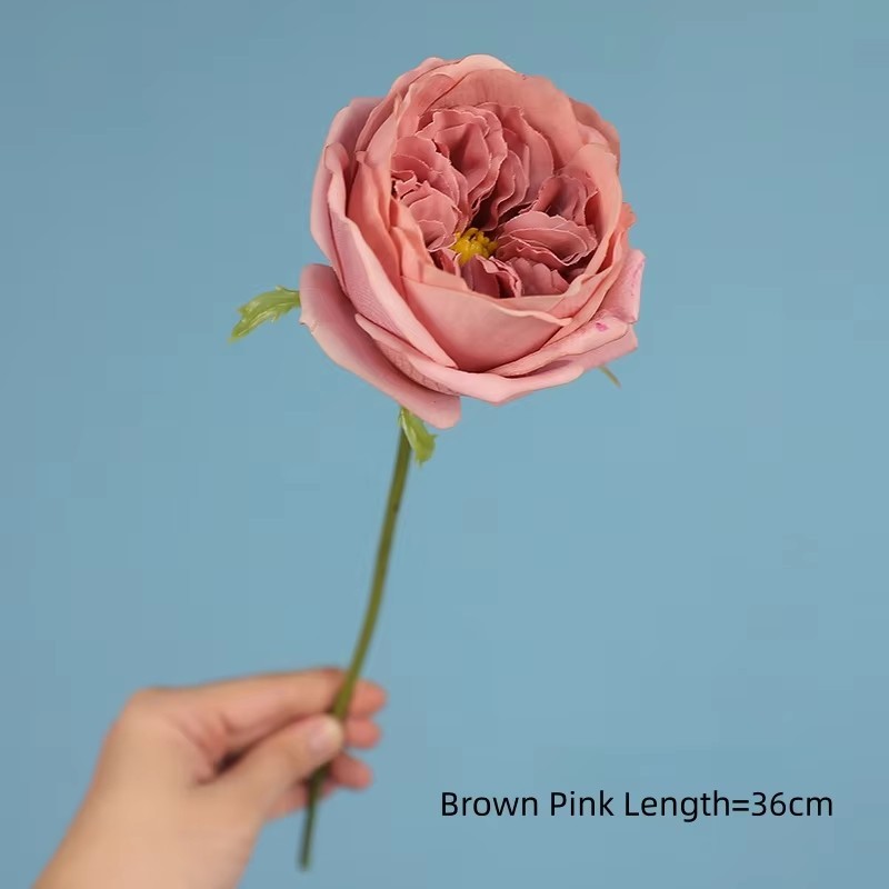 Marron Rose