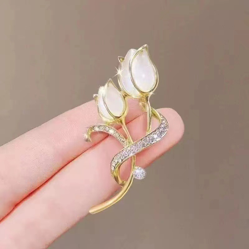 Cats eye tulip