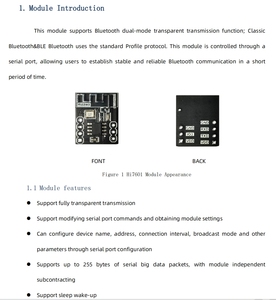 Ultra lungo raggio Nordic PA LNA Bluetooth 5.2 Mesh modulo Ble con + 10 dBm TX trasmettitore di programmazione di potenza modulo IoT - Product Image 4