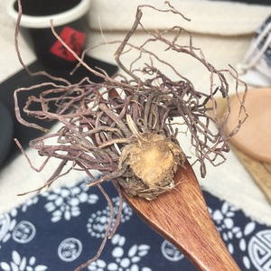 Zi wan kraut natürliche rohe trockene tatar ische aster getrocknete RADIX ASTERIS zu verkaufen - Product Image 2