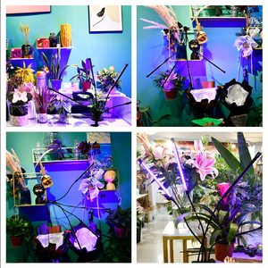 เดสก์ท็อปคลิปออน USB Led Grow Lights หรี่แสงได้20W เต็มสเปกตรัม3โหมดแสงฟังก์ชั่นจับเวลาและปรับการเติบโตของพืชในร่ม - Product Image 6