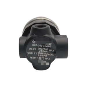 R07 200 RNKG 300PSI NSNP nuovo originale pronto magazzino automazione industriale PLC Controller di programmazione - Product Image 1