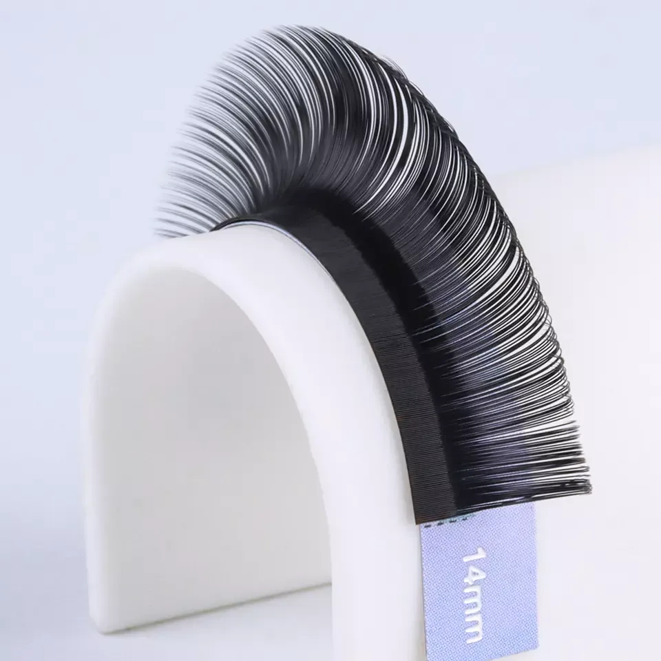 Black Lash