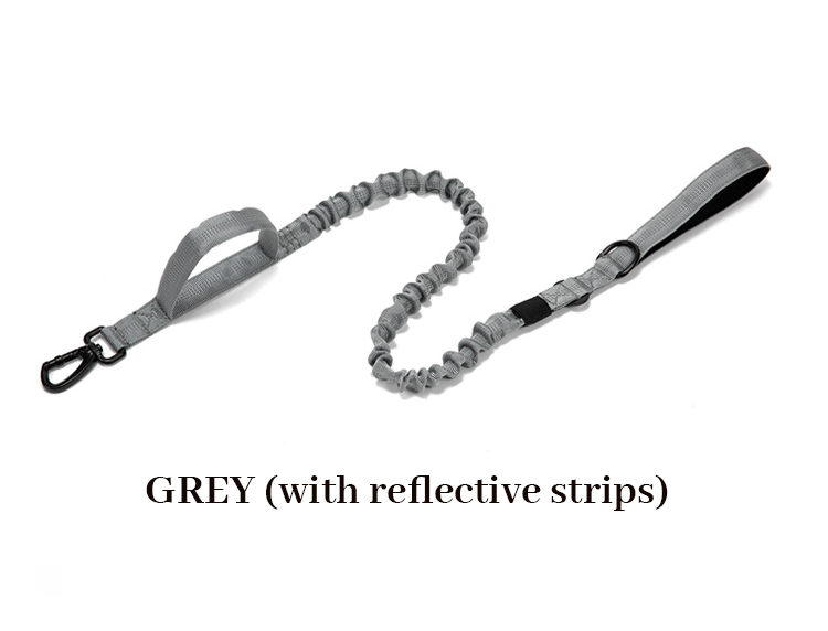 Gray leash