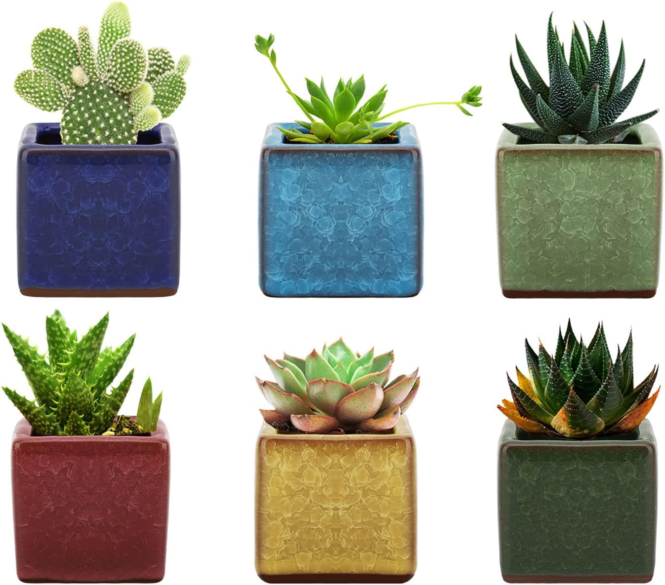 Square Design