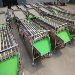 DZJX <strong>Date</strong> Cleaning and <strong>Sorting</strong> <strong>Machine</strong> Vegetable Citrus Fruit Carrot Cherry Grading <strong>Machine</strong> Coffee Cherry Sorter Sort <strong>Machine</strong> - Product Image 5