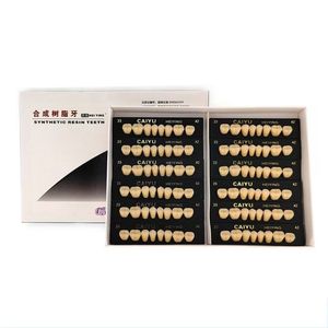 Denti Sintetici in Resina Acrilica a Due Strati Multicolore per Arcata Inferiore Anteriore all'Ingrosso - Product Image 4