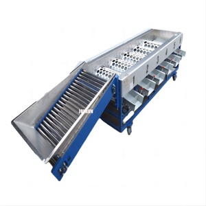 Clasificador automático de frutas y verduras, máquina clasificadora de línea de clasificación - Product Image 2
