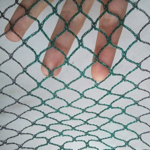 Anti Bird Net HDPE Vogel netze Netz recyceln Netz Pe Knotless Fishing Mesh Hole für Obst fisch - Product Image 4