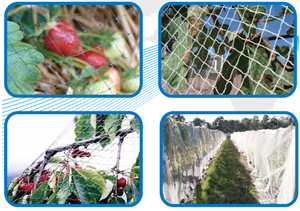 Rete per uccelli rete per nebbia agricola rete per cattura rete per uccelli in plastica anti rete per uccelli per fattoria - Product Image 3