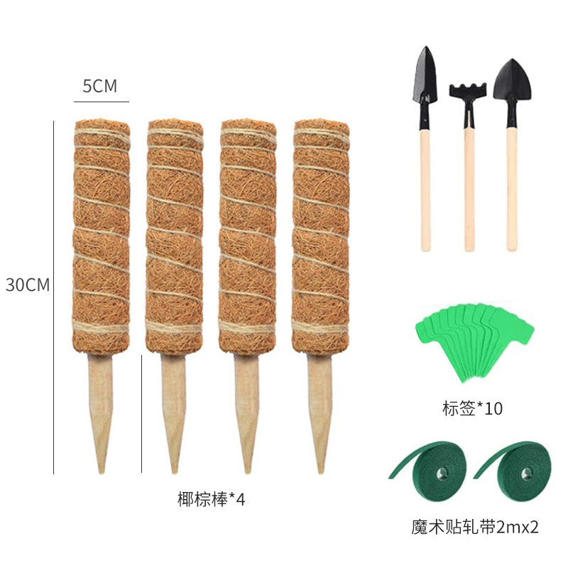 Ensemble de 30cm