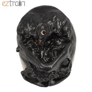GelsonLab <strong>Human</strong> Skull Model of 8 Kinds Apeman - Product Image 6