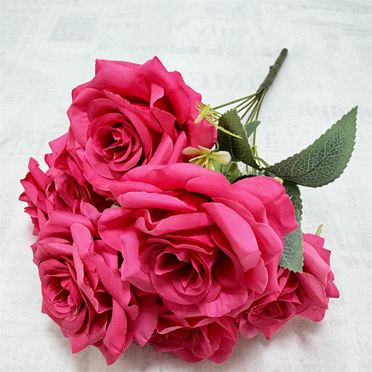Rose garance