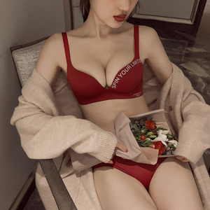 厂家直销优质批发舒适可调肩带日用俯卧撑聚拢女士文胸套装。 - Product Image 1