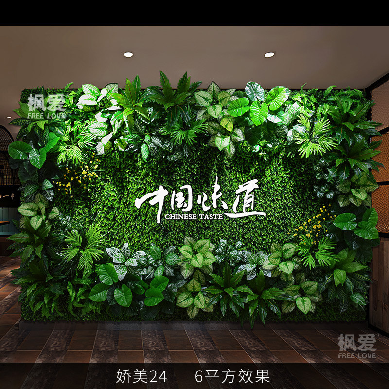 Jiaomei 24