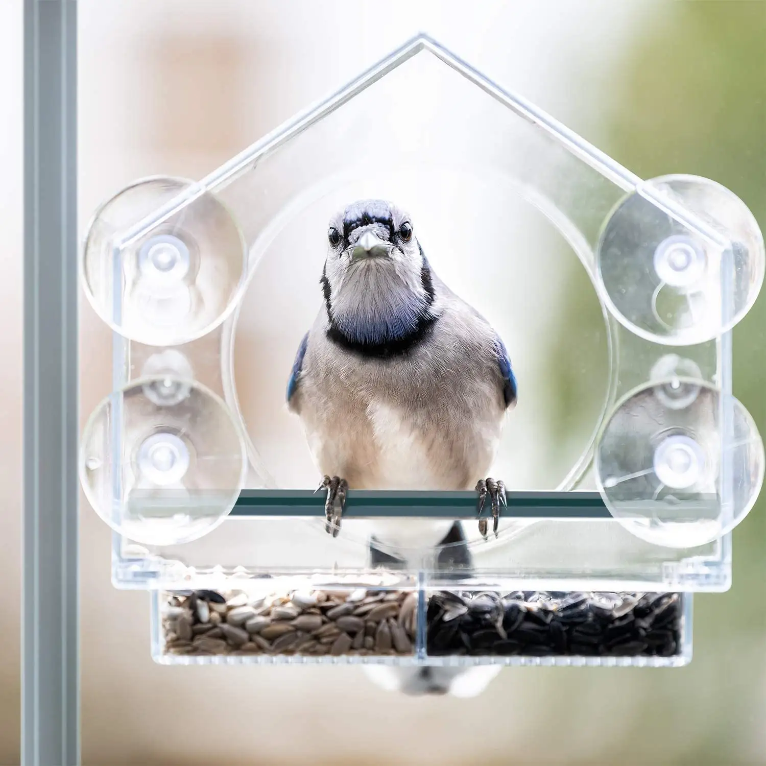 Alimentador de acrílico para pájaros, ventana transparente de acrílico para exteriores, comederos para pájaros, bandeja para pájaros, ventosa, montaje creativo, tipo de casa