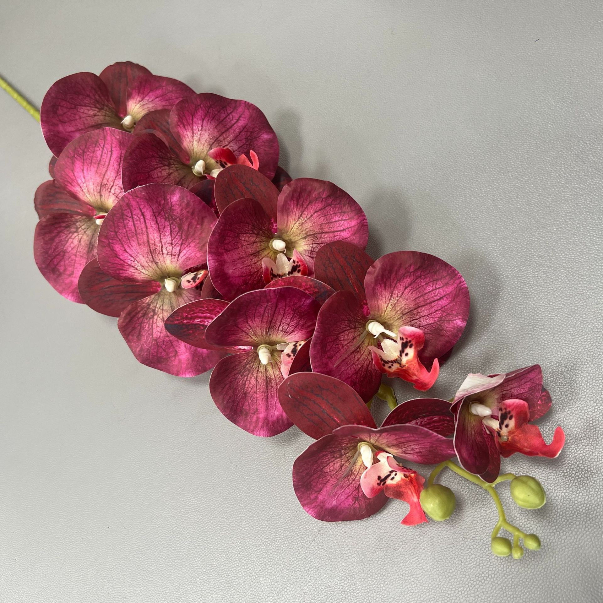Phalaenopsis violet printanier à 9 branches courtes