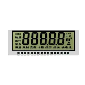 Personalizzato professionale strumento medico frigorifero schermo LCD 7-segmento tipo STN Display per lettore musicale strumento Cog LCD - Product Image 6