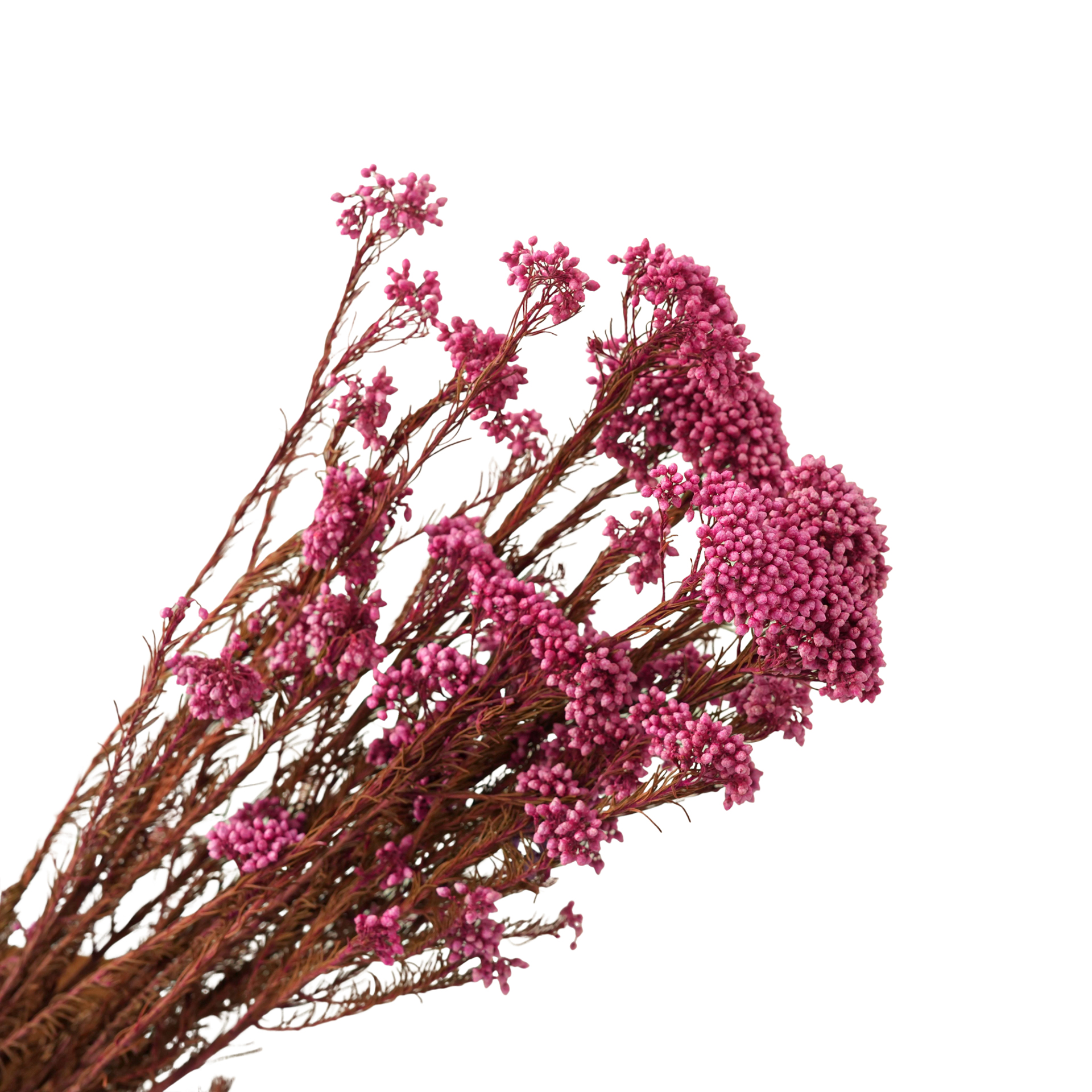 Sweet Pink-85g