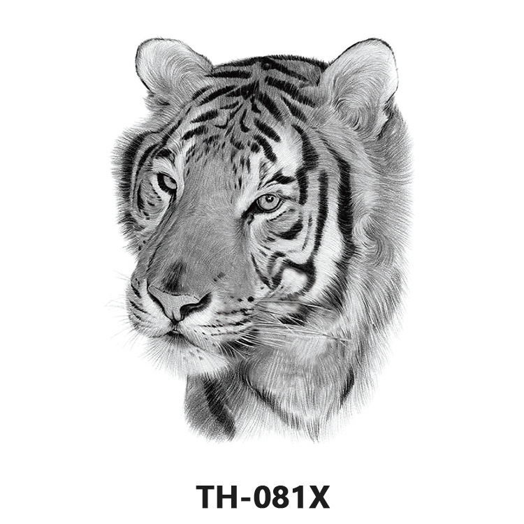 TH-081X