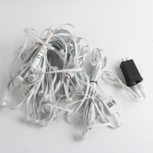 Paisagem ponto <span class=keywords><strong>pixel</strong></span> levou luz rgbw ao ar livre feriado decoração <span class=keywords><strong>spi</strong></span> 12v levou beirais luz