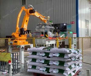 Máquina paletizadora apiladora de bolsas de grano de bloques de hormigón de fábrica automática - Product Image 5