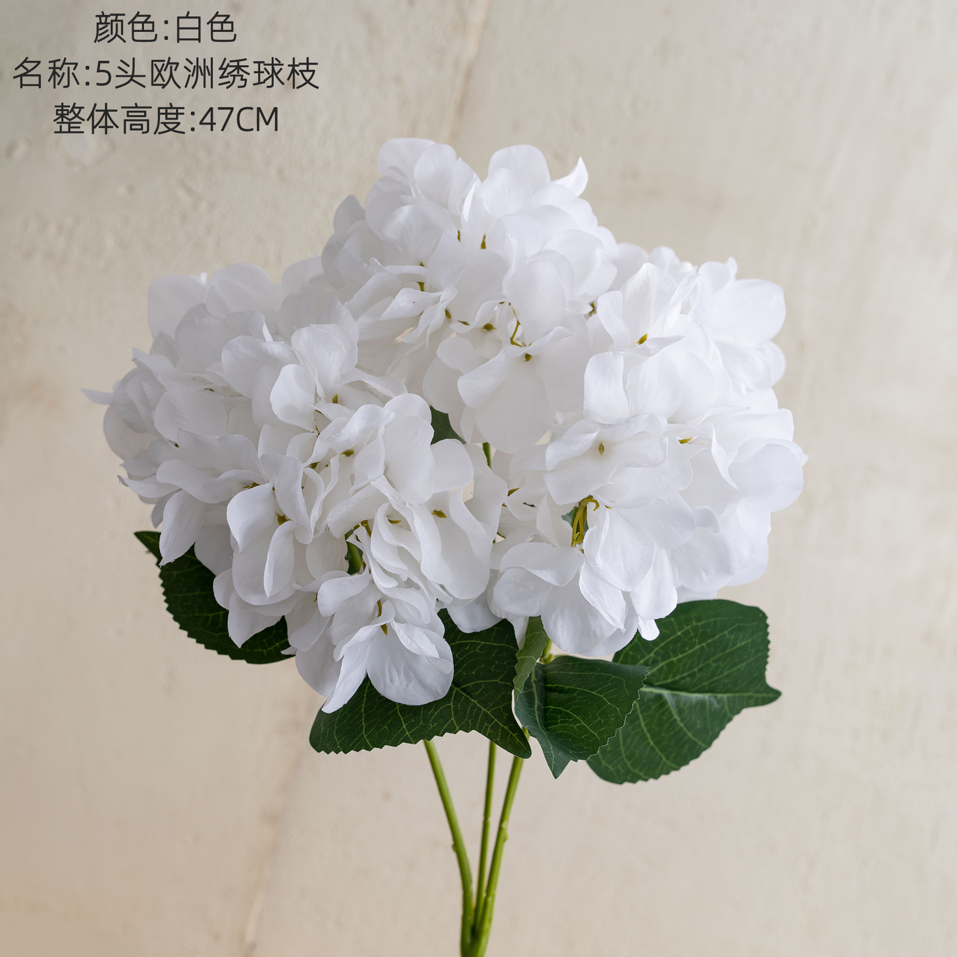 Blanco