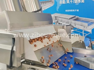 棕榈枣加工线洗涤选择线机出厂价格