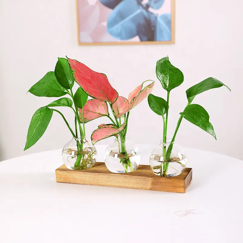 Drops hipping Desktop Planter Terrarium mit Holz regal 3 Glas birne Blumenvasen Vermehrung station