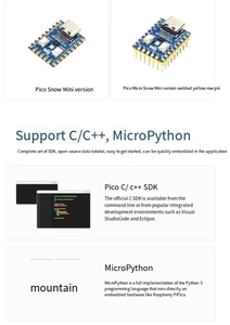 Microcontrollore PICO scheda di sviluppo RP2040 processore dual-core micrognow lampone PI RP2040-ZERO