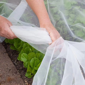 Tarım HDPE böcek geçirmez net, 40 mesh böcek bariyer net, sebze ve meyve koruma ağı - Product Image 1