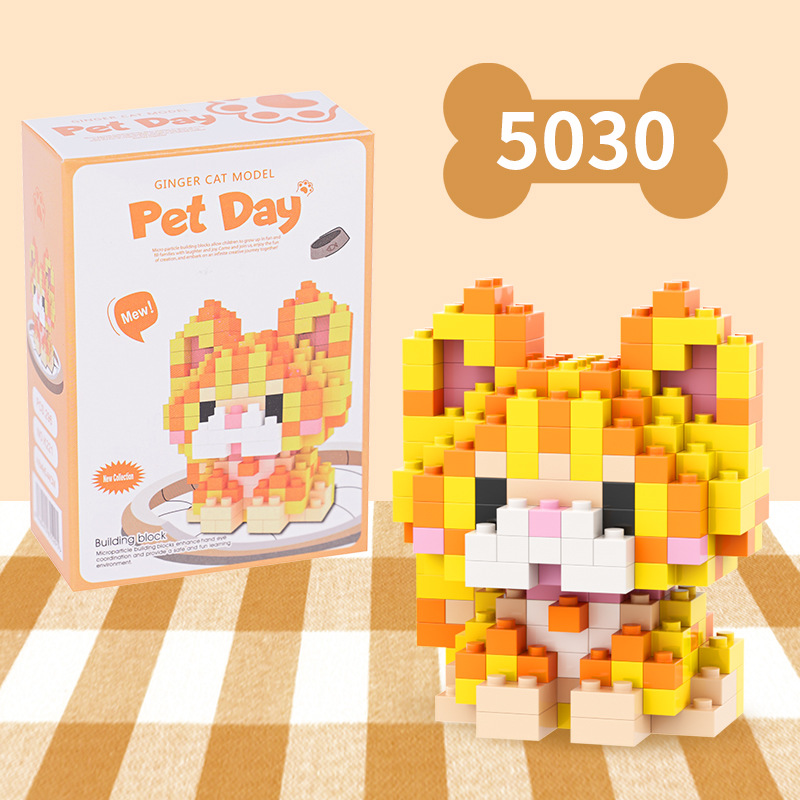 Chat orange blanc-5030